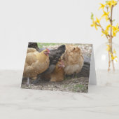Comical Chicken Notecard Kaart (Gele Bloem)