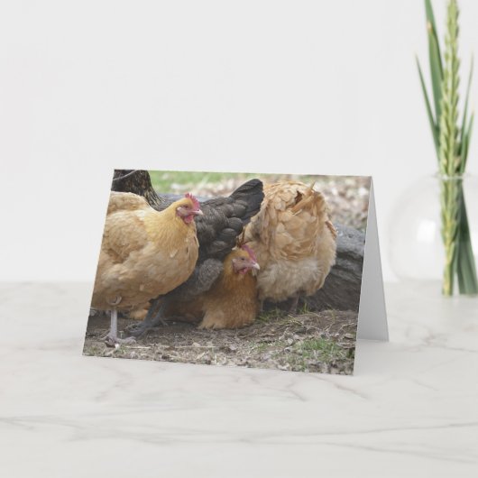 Comical Chicken Notecard Kaart (Voorkant)