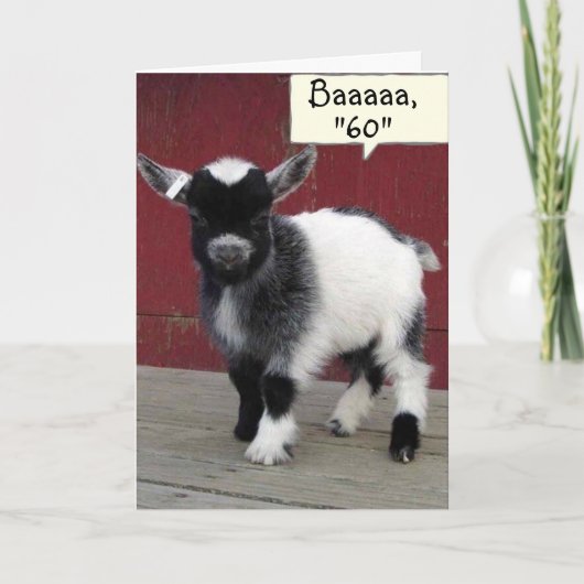 *COMICAL GOAT* JE KIJKT NOG NOG STEEDS OP JE *60st Kaart (Voorkant)