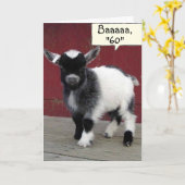 *COMICAL GOAT* JE KIJKT NOG NOG STEEDS OP JE *60st Kaart (Gele Bloem)