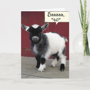 *COMICAL GOAT* JE KIJKT NOG STEEDS OP "39" OP JE * KAART