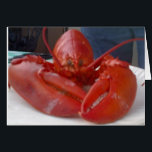 COMICAL LOBSTER JOKES BUT SAYS "HAPPY BIRTHDAY"<br><div class="desc">THIS POOR GUY HAD "ONE THING" ON HIS MIND AND THAT WAS TO WISH YOUR FRIEND OR FAMILY Member A **HAPPY BIRTHDAY**!!!!!!!! WE REALLY DID ENJOY HIM THOUGH. THANKS FOR STOPPING BY ONE OF MY EIGHT STORES!!!!</div>