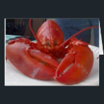 COMICAL LOBSTER JOKES BUT SAYS "HAPPY BIRTHDAY"<br><div class="desc">THIS POOR GUY HAD "ONE THING" ON HIS MIND AND THAT WAS TO WISH YOUR FRIEND OR FAMILY Member A **HAPPY BIRTHDAY**!!!!!!!! WE REALLY DID ENJOY HIM THOUGH. THANKS FOR STOPPING BY ONE OF MY EIGHT STORES!!!!</div>
