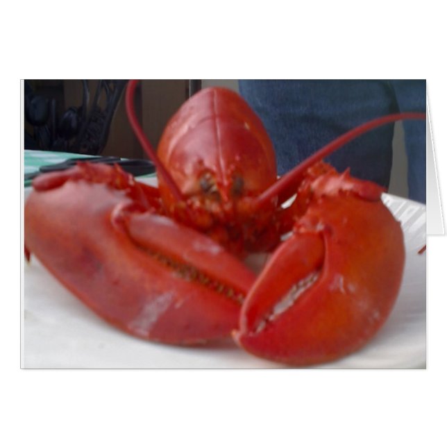 COMICAL LOBSTER JOKES BUT SAYS "HAPPY BIRTHDAY" (Voorkant Horizontaal)