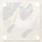 Comical Seal Point Siamese Cat Licking it's Nose Glazen Onderzetter (Achterkant)