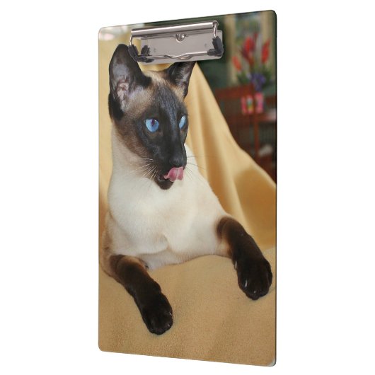 Comical Seal Point Siamese Cat Licking it's Nose Klembord (Links)