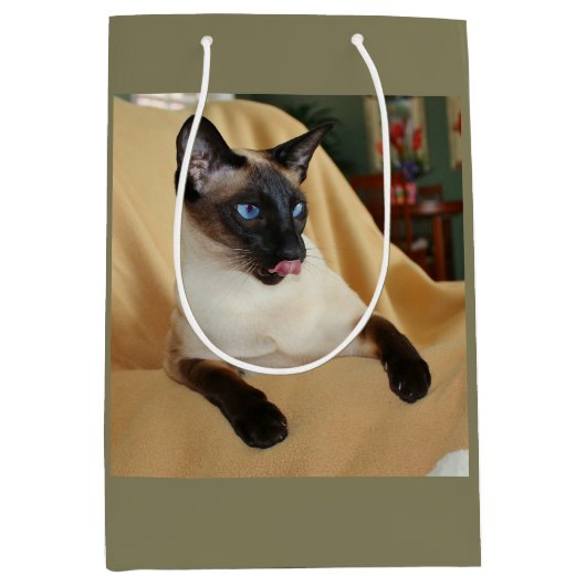 Comical Seal Point Siamese Cat Licking it's Nose Medium Cadeauzakje (Voorkant)
