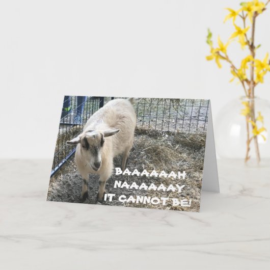 COMICAL SHEEP WEET NIET DAT U "DIE OUDE" WAS KAART (Gele Bloem)