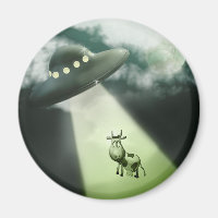 Comical UFO Koe Abduction Magnet