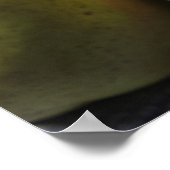 Comice Pears Poster (Hoek)