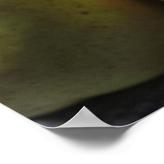 Comice Pears Poster (Hoek)