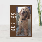 **COMIDIC SPANIEL" GEHEUGENDE "70e" BIRTHDAY-kaart Kaart (Voorkant)