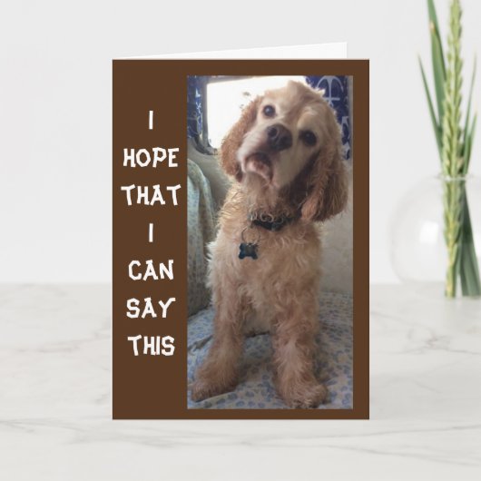 **COMIDIC SPANIEL" GEHEUGENDE "70e" BIRTHDAY-kaart Kaart (Voorkant)