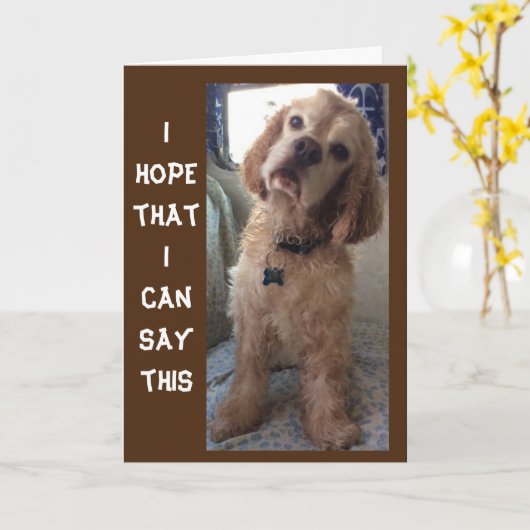 **COMIDIC SPANIEL" GEHEUGENDE "70e" BIRTHDAY-kaart Kaart (Gele Bloem)