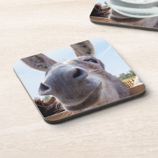 Comisch Glimlachende Grijze Ezel Bier Onderzetter (Linkerzijde)