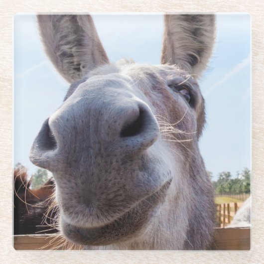 Comisch Glimlachende Grijze Ezel Glazen Onderzetter (Voorkant)