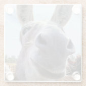 Comisch Glimlachende Grijze Ezel Glazen Onderzetter (Achterkant)