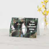 **COMISCHE GEITEN** ZEGGEN WELKE DAG HET VOOR U IS KAART (Gele Bloem)