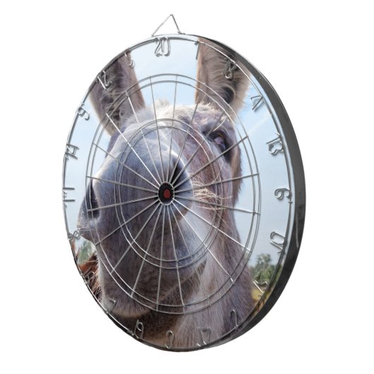 Comische Grijze Glimlachende Ezel Dartbord (Voorkant Rechts)