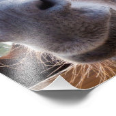 Comische Grijze Glimlachende Ezel Foto Afdruk (Hoek)