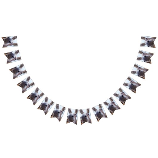 Comische Grijze Glimlachende Ezel Vlaggetjes (Alle)