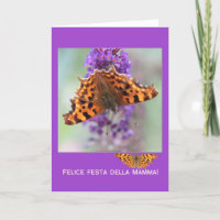 Comma butterflies moederdag italiaans