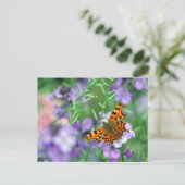 Comma Butterfly Briefkaart (Staand voorkant)