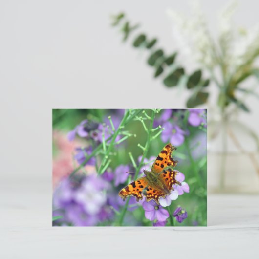 Comma Butterfly Briefkaart (Staand voorkant)
