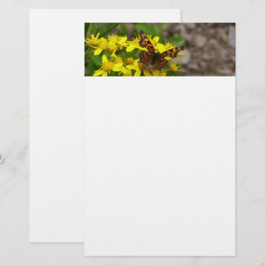 Comma Butterfly in Glacier National Park Briefpapier (Voorkant / Achterkant)