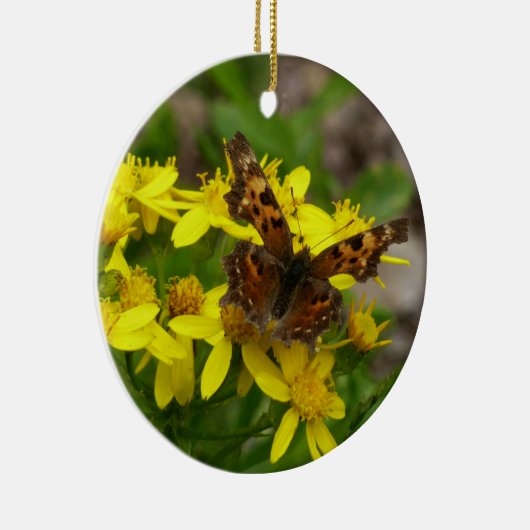 Comma Butterfly in Glacier National Park Keramisch Ornament (Rechts)