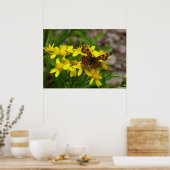 Comma Butterfly in Glacier National Park Poster (Keuken)