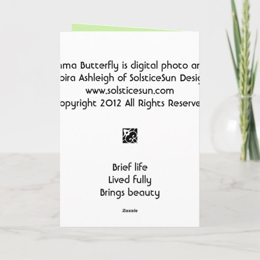 Comma Butterfly Kaart (Achterkant)