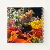 Comma Butterfly op een Rudbeckia Flower Editable Notitieboek (Achterkant)