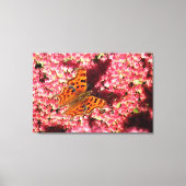 Comma Butterfly op Sedum Canvas Afdruk (Voorkant)