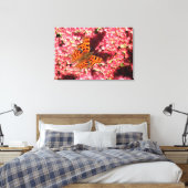 Comma Butterfly op Sedum Canvas Afdruk (Insitu (Slaapkamer))