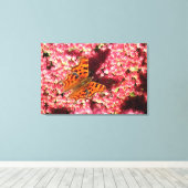 Comma Butterfly op Sedum Canvas Afdruk (Insitu (Houten vloer))