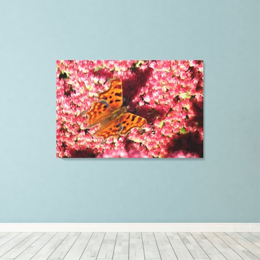 Comma Butterfly op Sedum Canvas Afdruk (Insitu (Houten vloer))