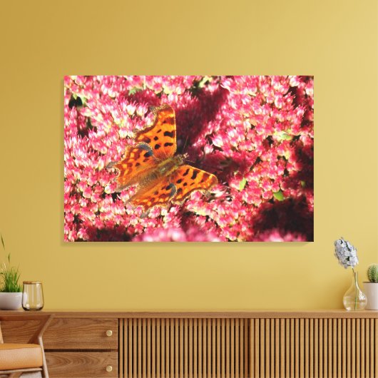 Comma Butterfly op Sedum Canvas Afdruk (Insitu (Woonkamer))