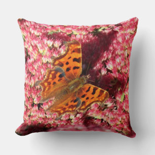 Comma Butterfly op Sedum Kussen