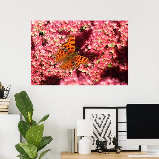 Comma Butterfly op Sedum Poster (Thuiskantoor)