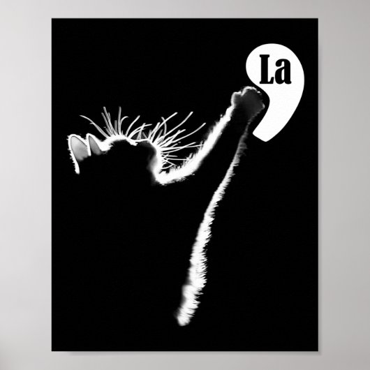 Comma La Cat Kinderloze Cat Dames Stem Rosie De R Poster (Voorkant)