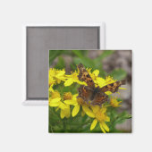 Comma vlinder in Glacier National Park Magneet (Voorkant / Achterkant)