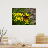 Comma vlinder in Glacier National Park Poster (Keuken)