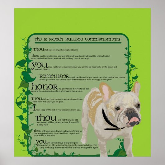 Commando Franse Bulldog Poster (Voorkant)