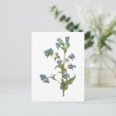 commelina (tuberosa Commelina) door Redouté Briefkaart (Staand voorkant)