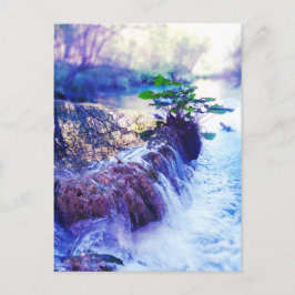 commentaarkaart voor mailinglijst: watersmog briefkaart