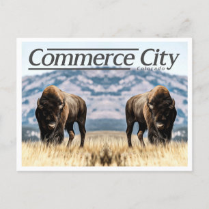COMMERCE STAD COLORADO BRIEFKAART