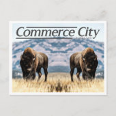COMMERCE STAD COLORADO BRIEFKAART (Voorkant)