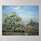 commissaris - Orchard in Bloom Louveciennes 1892 Poster (Voorkant)