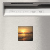 Commit to Lord Magnet (Insitu (Vaatwasser))